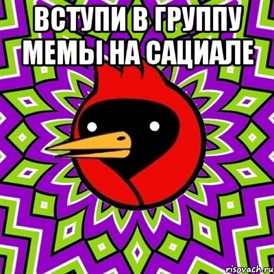 вступи в группу мемы на сациале , Мем Омская птица
