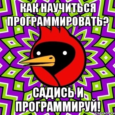 как научиться программировать? садись и программируй!, Мем Омская птица