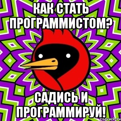 как стать программистом? садись и программируй!, Мем Омская птица