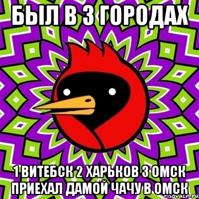 был в 3 городах 1 витебск 2 харьков 3 омск приехал дамой чачу в омск, Мем Омская птица