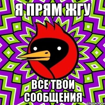 я прям жгу все твои сообщения, Мем Омская птица