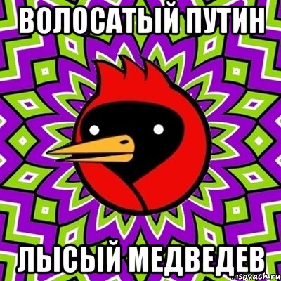 волосатый путин лысый медведев, Мем Омская птица