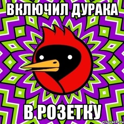 включил дурака в розетку, Мем Омская птица