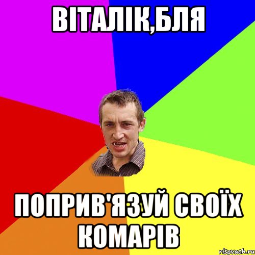 віталік,бля поприв'язуй своїх комарів, Мем Чоткий паца