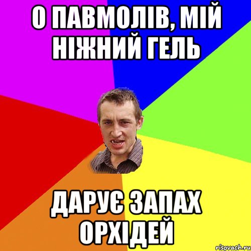 о павмолів, мій ніжний гель дарує запах орхідей, Мем Чоткий паца