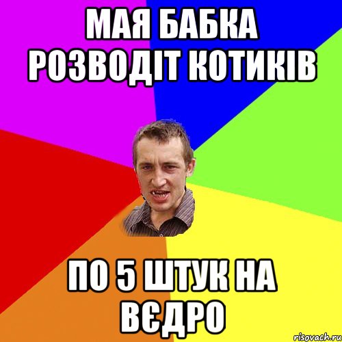 мая бабка розводіт котиків по 5 штук на вєдро, Мем Чоткий паца