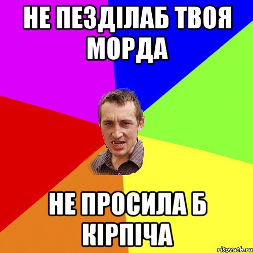 не пезділаб твоя морда не просила б кірпіча, Мем Чоткий паца