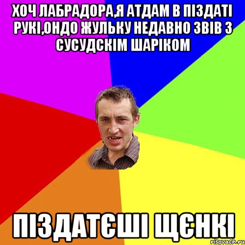 хоч лабрадора,я атдам в піздаті рукі,ондо жульку недавно звів з сусудскім шаріком піздатєші щєнкі, Мем Чоткий паца