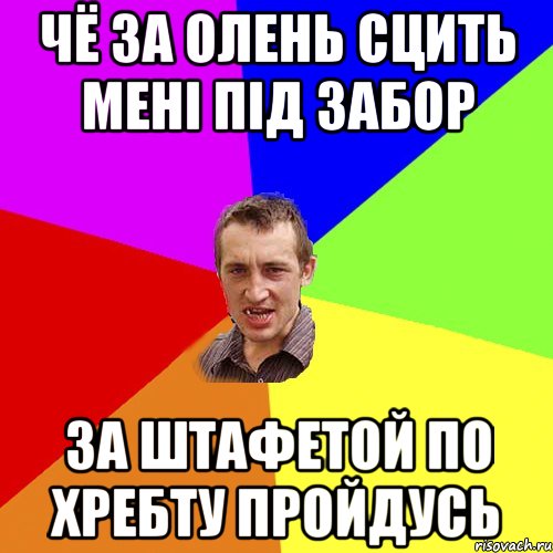 чё за олень сцить мені під забор за штафетой по хребту пройдусь, Мем Чоткий паца