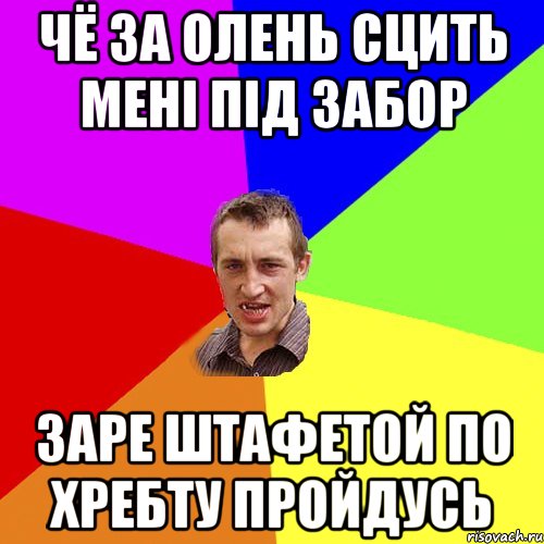 чё за олень сцить мені під забор заре штафетой по хребту пройдусь, Мем Чоткий паца