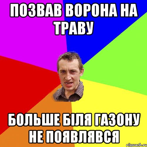 позвав ворона на траву больше біля газону не появлявся, Мем Чоткий паца