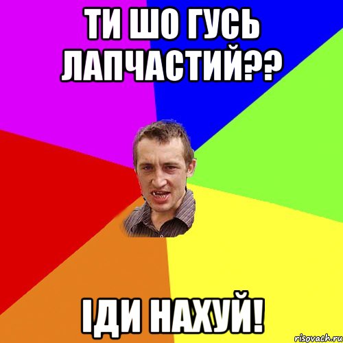 ти шо гусь лапчастий?? іди нахуй!, Мем Чоткий паца