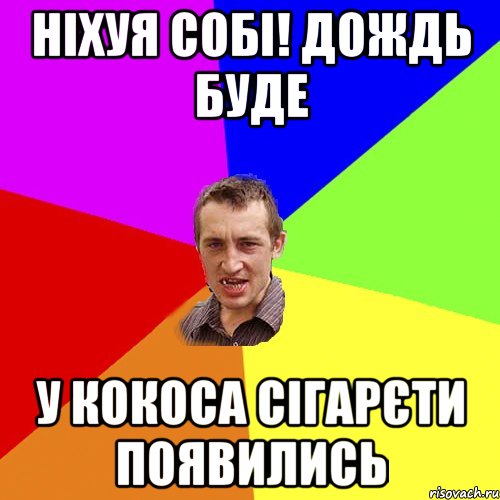 ніхуя собі! дождь буде у кокоса сігарєти появились, Мем Чоткий паца