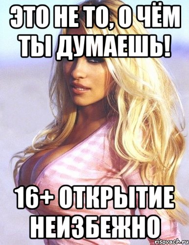 это не то, о чём ты думаешь! 16+ открытие неизбежно, Мем Памела