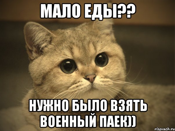 мало еды?? нужно было взять военный паек)), Мем Пидрила ебаная котик