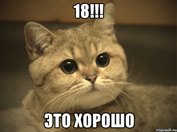 18!!! это хорошо, Мем Пидрила ебаная котик