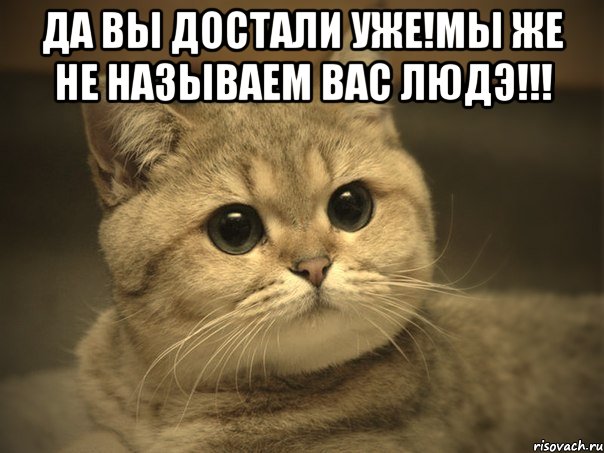 да вы достали уже!мы же не называем вас людэ!!! , Мем Пидрила ебаная котик