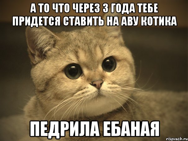 а то что через 3 года тебе придется ставить на аву котика педрила ебаная, Мем Пидрила ебаная котик