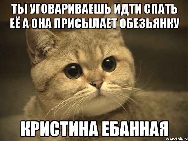 ты уговариваешь идти спать её а она присылает обезьянку кристина ебанная, Мем Пидрила ебаная котик