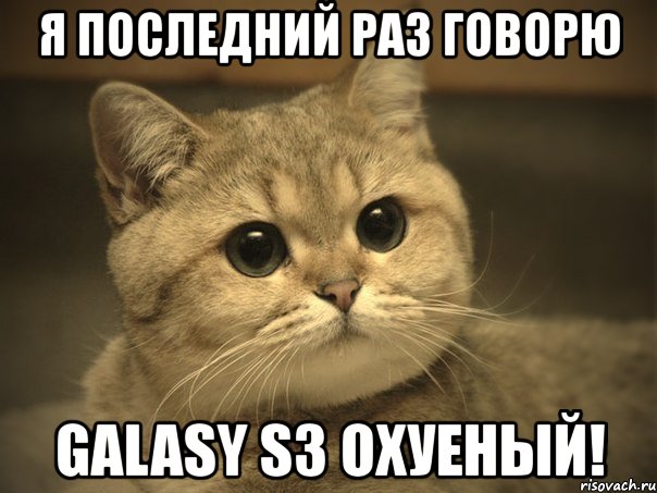 я последний раз говорю galasy s3 охуеный!, Мем Пидрила ебаная котик