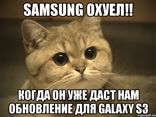 samsung охуел!! когда он уже даст нам обновление для galaxy s3, Мем Пидрила ебаная котик