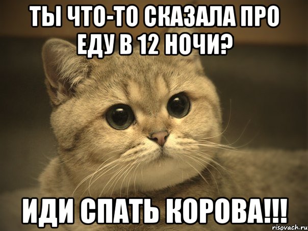 ты что-то сказала про еду в 12 ночи? иди спать корова!!!, Мем Пидрила ебаная котик