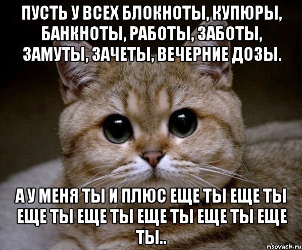 пусть у всех блокноты, купюры, банкноты, работы, заботы, замуты, зачеты, вечерние дозы. а у меня ты и плюс еще ты еще ты еще ты еще ты еще ты еще ты еще ты.., Мем Пидрила Ебаная