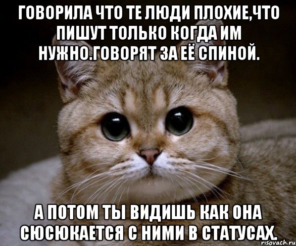 говорила что те люди плохие,что пишут только когда им нужно.говорят за её спиной. а потом ты видишь как она сюсюкается с ними в статусах., Мем Пидрила Ебаная