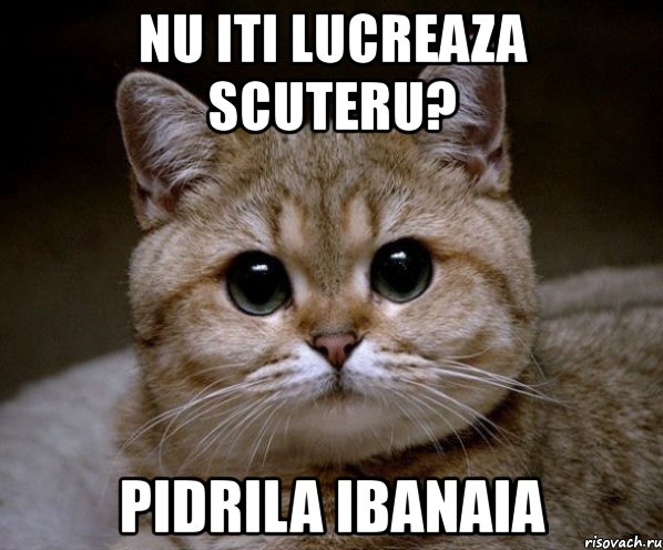 nu iti lucreaza scuteru? pidrila ibanaia, Мем Пидрила Ебаная