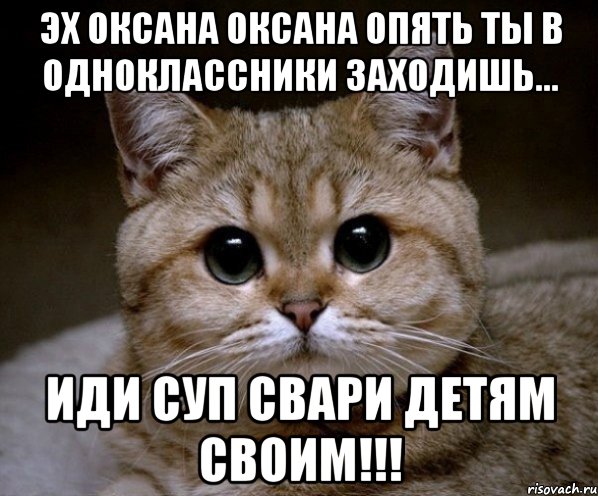 эх оксана оксана опять ты в одноклассники заходишь... иди суп свари детям своим!!!, Мем Пидрила Ебаная