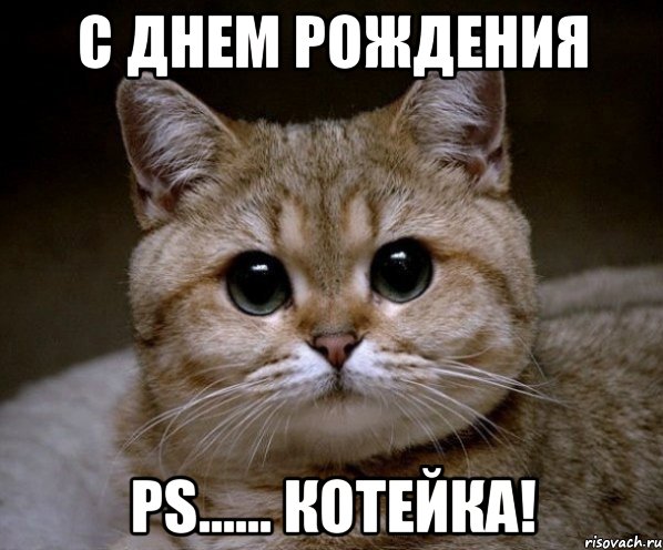 с днем рождения ps...... котейка!, Мем Пидрила Ебаная