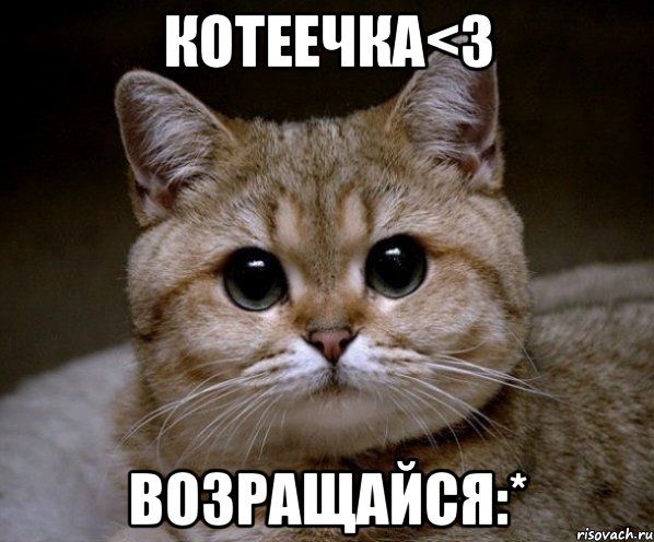 котеечка<3 возращайся:*, Мем Пидрила Ебаная