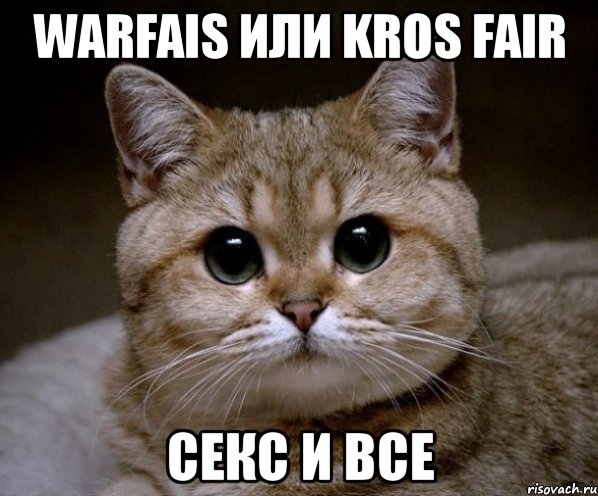 warfais или kros fair секс и все, Мем Пидрила Ебаная