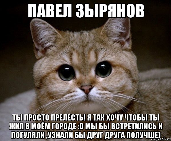 павел зырянов ты просто прелесть! я так хочу чтобы ты жил в моём городе :d мы бы встретились и погуляли ,узнали бы друг друга получше), Мем Пидрила Ебаная