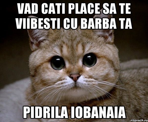 vad cati place sa te viibesti cu barba ta pidrila iobanaia, Мем Пидрила Ебаная