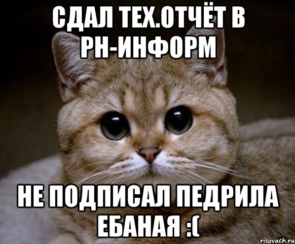 сдал тех.отчёт в рн-информ не подписал педрила ебаная :(, Мем Пидрила Ебаная