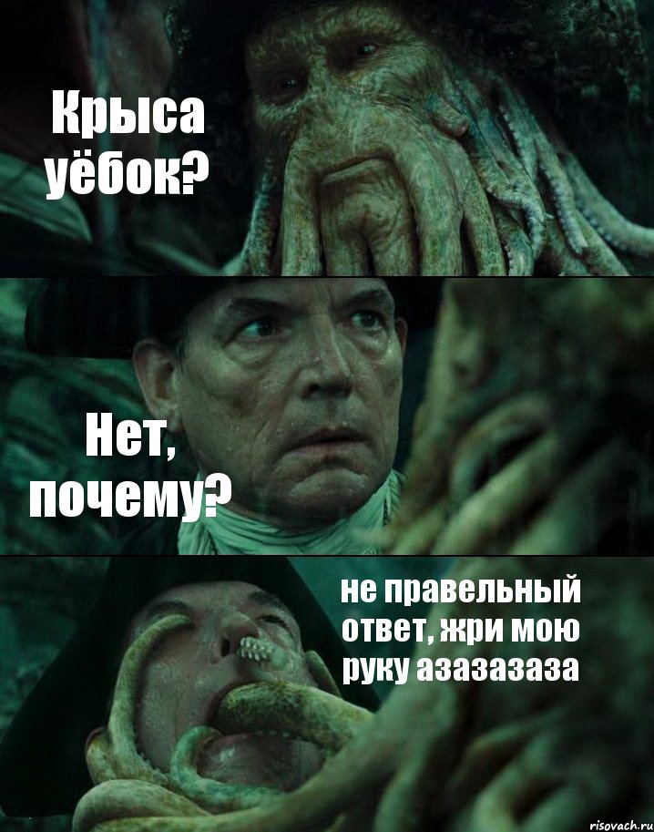 Крыса уёбок? Нет, почему? не правельный ответ, жри мою руку азазазаза, Комикс Пираты Карибского моря