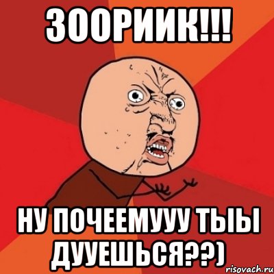 зоориик!!! ну почеемууу тыы дууешься??), Мем Почему