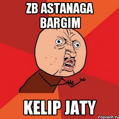 zb astanaga bargim kelip jaty, Мем Почему