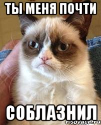 ты меня почти соблазнил, Мем почти соблазнил