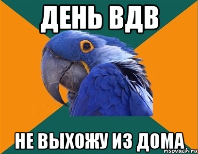 день вдв не выхожу из дома, Мем Попугай параноик