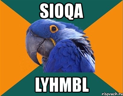 sioqa lyhmbl, Мем Попугай параноик