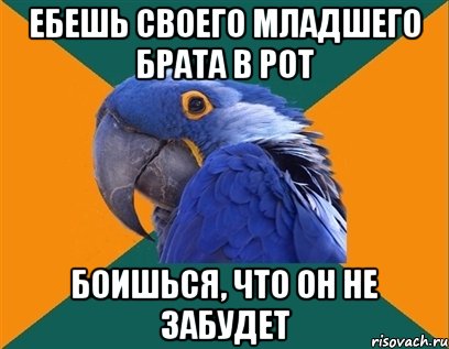 ебешь своего младшего брата в рот боишься, что он не забудет, Мем Попугай параноик