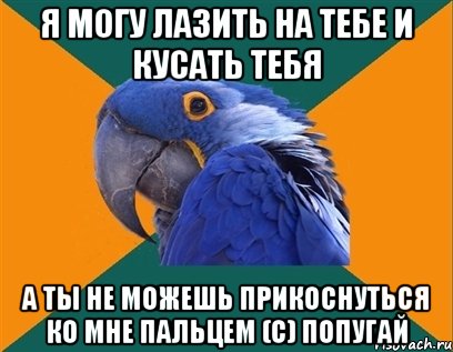 я могу лазить на тебе и кусать тебя а ты не можешь прикоснуться ко мне пальцем (с) попугай, Мем Попугай параноик