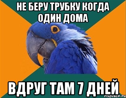 не беру трубку когда один дома вдруг там 7 дней, Мем Попугай параноик