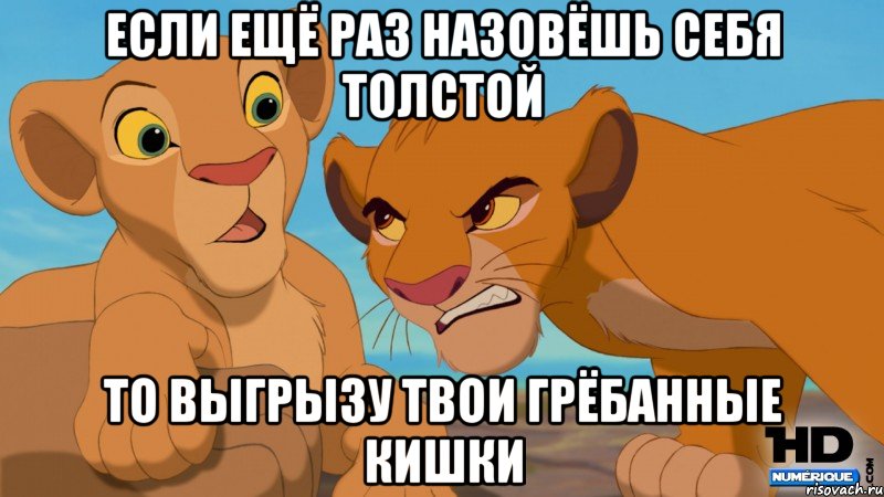 если ещё раз назовёшь себя толстой то выгрызу твои грёбанные кишки, Мем пп