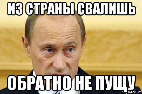 из страны свалишь обратно не пущу, Мем путин