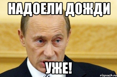 надоели дожди уже!, Мем путин