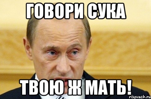 говори сука твою ж мать!, Мем путин