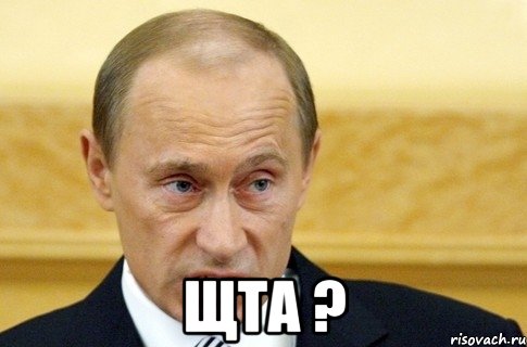  щта ?, Мем путин